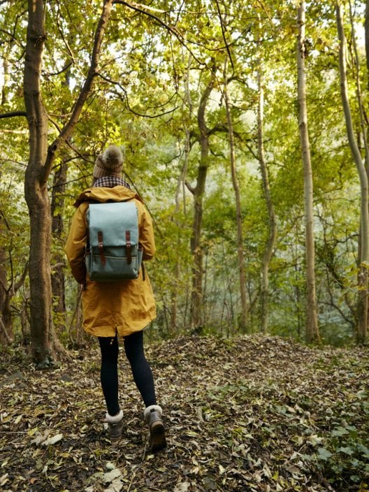 Forest bathing: perché un’immersione nella natura aiuta a riconnettersi con sé stessi