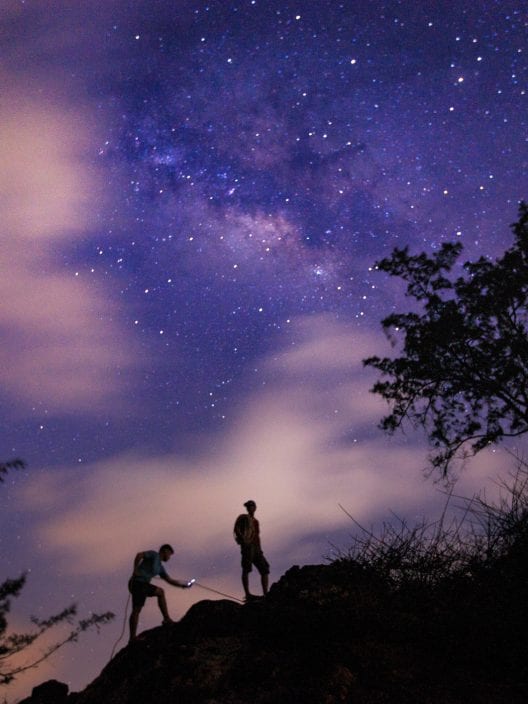 La Luna Nuova in Leone del 4 agosto porterà un’esplosione di creatività e passione