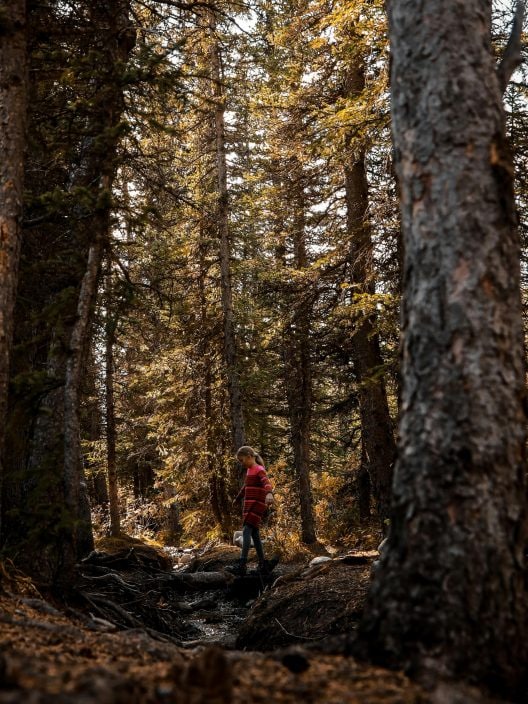 L’Oroscopo dell’Autunno: ecco come sarà il viaggio interiore dei 12 Segni